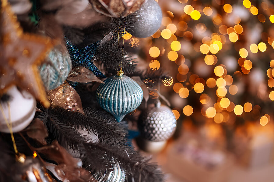 Celebrate the Holidays in Boston